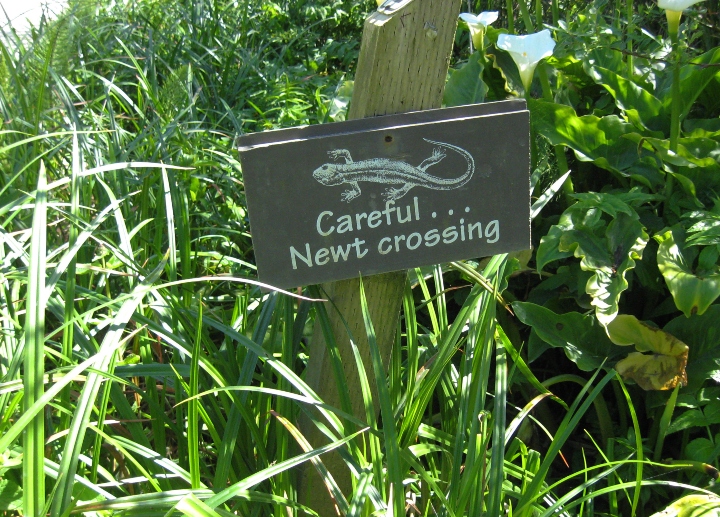 California Newt Sign